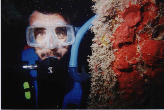 Diving on a wreck 10 miles off Marathon Key